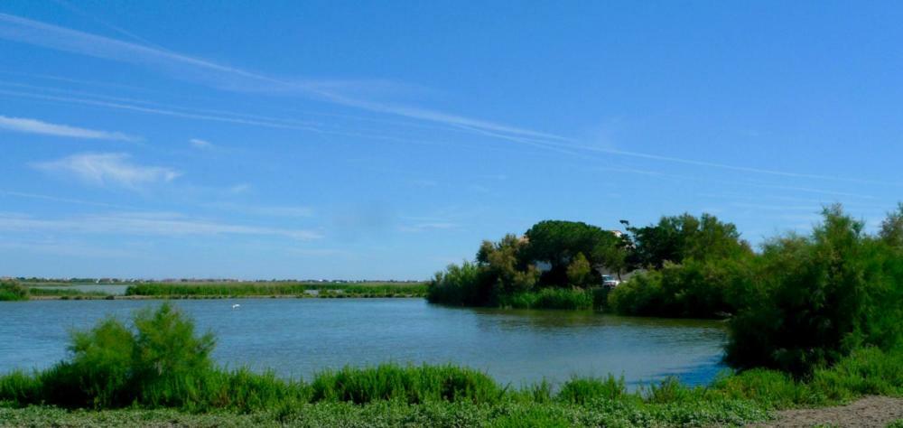 Bed and Breakfast Mas Des Cabidoules Saintes-Maries-de-la-Mer Esterno foto